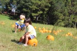 resIMG_20141004_131402_3420.JPG